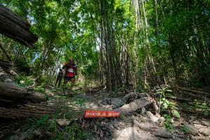 BIB: 
                            <button type="button" onclick="openModal(19394034)" class="btn btn-primary btn-sm float-right btn-popup" data-toggle="modal" data-target=".modal-high-quality">
                        <i class="fas fa-shopping-cart"></i> Add to Cart
                    </button>
                                            <button type="button" onclick="isThisMe(19394034, true)" class="btn btn-success btn-sm float-right btn-popup btn-isme hidden" data-toggle="tooltip" data-placement="bottom" title="นี่คือรูปของคุณใช่ไหม คลิกที่นี่เพื่อเอาเข้าอัลบั้ม">
                        <i class="fas fa-plus"></i> Add to album
                    </button>
                    <button type="button" onclick="isThisMe(19394034, false)" class="btn btn-warning btn-sm float-right btn-popup btn-isnotme hidden">
                        <i class="fas fa-ban"></i> Remove from album
                    </button>